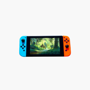 Nintendo Switch Bundle + The Legend of Zelda Breath of the Wild Red Blue
